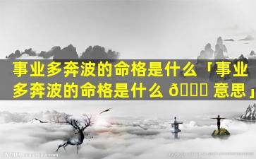 事业多奔波的命格是什么「事业多奔波的命格是什么 🐝 意思」